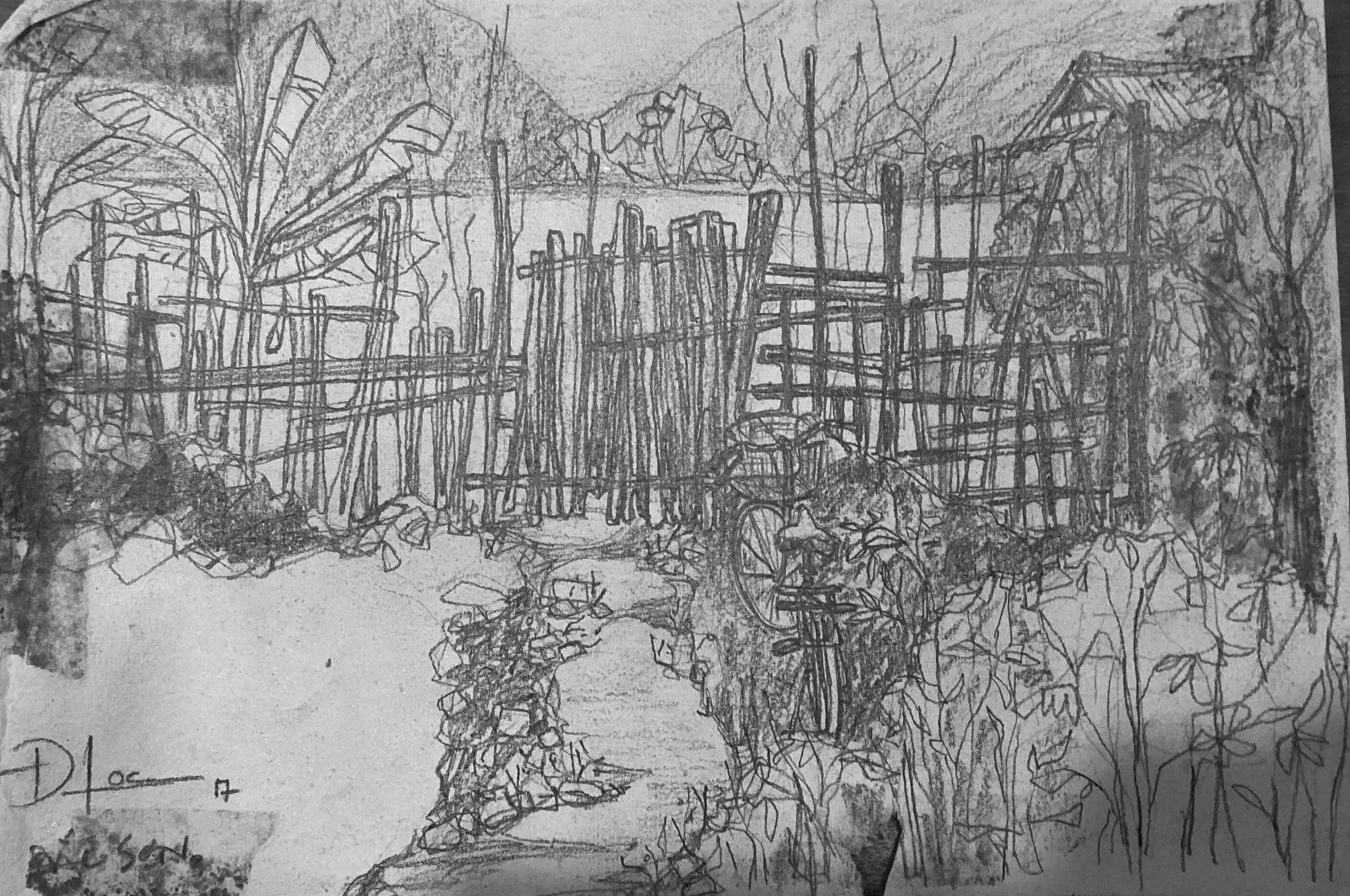 363844081 1459217074933034 1596594837288527094 n 1