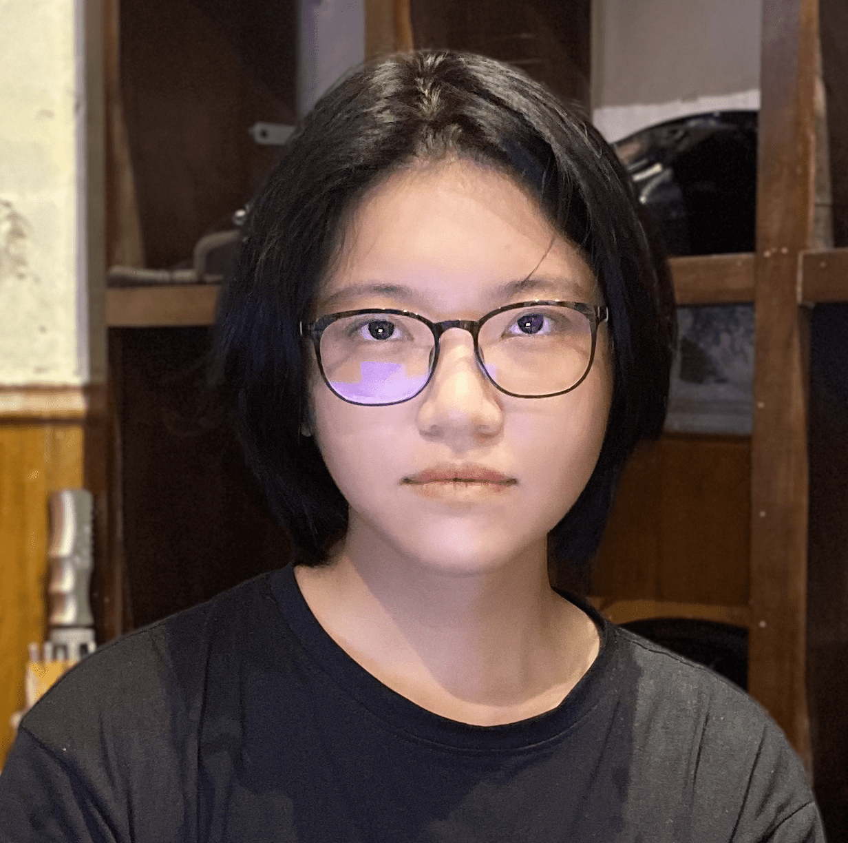 meet the artists - Hoang Minh Anh